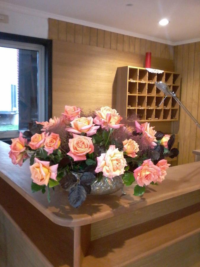 Ruta Hotel Alto La Cruz ロサンゼルス エクステリア 写真
